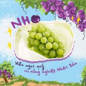 Nho: Viên ngọc quý của nông nghiệp Nhật Bản